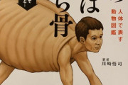 【画像】動物の骨格を人体で表すと…