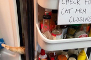 【動画あり】アメリカ人「冷蔵庫の扉閉める前に猫の手があるか見て」