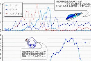 【悲報】サンマ、ガチで絶滅へ