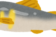 【疑問】川魚って生で食える？ｗｗｗ