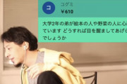 一般人「弟が西野やホリエモンに心酔してます、どうしたらいいですか」識者「うーん」