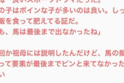 【悲報】オタク「ウマ娘の映画を祖母(91)に見せてみた」→結果ｗｗｗｗｗ