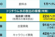 パヨク悲報〓　「原発活用を」７０％　「稼働させるべきでない」２２％　反原発カルト消滅へｗ  [8/1]