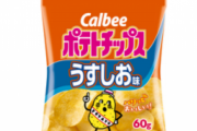 【天才】色鉛筆で40時間掛けて描いたポテトチップスの完成度がありえない…