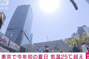 東京で早くも今年初の「夏日」を観測・・・　春よ、お前消えるのか？