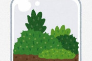 俺「テラリウム販売って儲かるんじゃね？」 → 調べてみた結果・・・