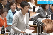 【紅麹サプリ】立憲・辻元「安倍政権で『健康食品をビジネスチャンスに』と成長戦略に。規制緩和の見直しを含め再発防止を！」（国会動画）