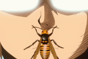 【必見】”人を刺すハチかどうか”が一発で分かる見分け方が話題に！「ハチに遭遇したらまず〇〇を見ろ」