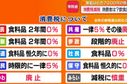 【悲報】『消費税減税』レジの設定に1年かかってしまうので中止へwwwwwwwwwwwwwwwwwwww