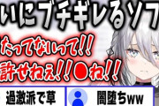 【にじさんじ】初期ソフィ見てたニキによると最初から変わっとったけどスト6で周りにバレ始めたと言ってた