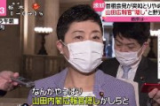 立憲・辻元清美、発言に一貫性が無くてヤバいｗｗｗｗｗ