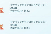 【ポケモンGO】7キロタマゴの驚異の「ツボツボ・マグマッグ率」新ポケ出た奴居る？
