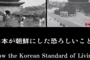 世界が日本の嘘に反対してる！証拠あんの？ネットだよググれカス！韓国の嘘 日本がした残虐行為 韓国人はいつも嘘つき 海外の反応