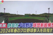 2024年春に静岡市にプロ野球の球団が誕生か…田辺市長「40代からの夢」　市民は「盛り上がるならいい」