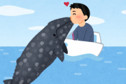ホエールウォッチング観光客「野生のクジラが近づいてきた！キスしたろｗｗｗｗ」観光客「俺も俺もｗｗｗｗｗ」 ← なぜかSNSで絶賛されまくる　