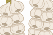 ニンニク大量に食うと病院送りになるってマジか！？