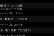 今日のハム×ヤクルト2軍戦の最終回が衝撃wwwwwwwwwwwwwww
