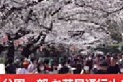 上野公園、井の頭公園、代々木公園を通行止めへ　花見の自粛を要請