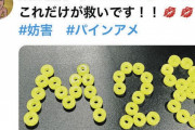 虎党・NMB48川上千尋、岡田監督の猛抗議に「胸がグッとなった」OB糸井嘉男はパインアメで「M28」