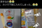 【悲報】夫「マヨネーズ買ってきたわよ」妻「これはマヨネーズじゃなギャオオオン」
