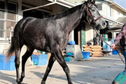 【今年の有馬記念は荒れるのか？】クロノジェネシスもエフフォーリアも、今回は状態が悪いと宣言してる件