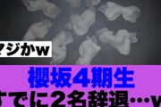 【4月19日の人気記事10選】 衝撃櫻坂4期生すでに2名辞退している模様…… ほか【乃木坂・櫻坂・日向坂】