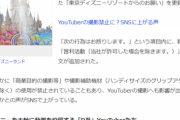 【悲報】D系ユーチューバー、ディズニーの『営利目的の撮影禁止』で終了へｗｗｗｗ