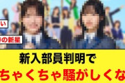 日向坂バレー部、新たな入部メンバーが判明する【日向坂46】
