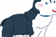 「柴犬」と「ハスキー」をミックスさせた「結果」ｗｗuｗｗuｗｗuｗｗ