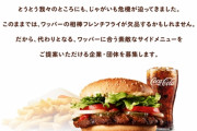 【悲報】バーガーキング、じゃがいも不足によりポテトに代わるサイドメニューを募集　Twitterで企業に呼びかけ