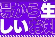 乃木坂46分TV『2023年夏に関する"楽しい"お知らせ』の内容が！！！