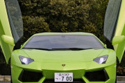ランボルギー二とかアヴェンダドールみたいな超高級車って、、、