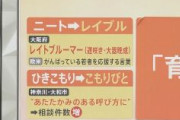【速報】「ニート」を「レイブル」、「ひきこもり」を「こもりびと」と言い替えることを決定