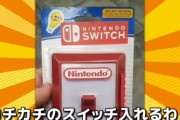 YouTuber「TEMUで『ニンテンドースイッチ2』売ってるやん。買ってみたわ」 → ガチでヤバイことになってしまう…