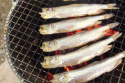 消費期限9日切れたししゃも食べる