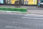 【動画】中国あるある、恒例の「中国式緑化」に新方式！今度は道路緑化帯だ！