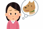 26歳女性「愛犬の治療費ください！（既に死んでいるけど）」とクラファンで185万円集める → それに気づいた獣医が通報 → 女性を逮捕
