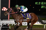 6/23(火) 大井11R サンスポ盃 第10回 優駿スプリント(S Ⅱ) 発走時刻 20:10