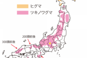熊がいる都道府県に住んでる奴ってどんな気持ちなの？