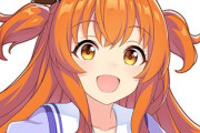 【ウマ娘】この頃のマヤはまだ寝ている…？ 同室のポスターを邪険にしない子