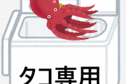 洗濯機の使い方って「洗濯」「ウツボのぬめり取り」以外ないよな