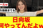 【日向坂46】森本茉莉ひなたフェス裏側を公開し雰囲気が良すぎると話題に