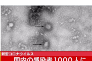 山口県で新型コロナウイルス初確認、国内の感染確認 １０００人に