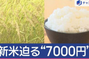 【悲報】新米、5キロ7000円へ😭