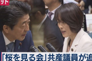 【花見】日本共産党、桜を見る会を開催ｗｗｗｗｗｗｗｗｗｗｗｗｗｗ