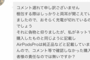 【画像】ワイ､メルカリで偽物AirPodsProの不良品を掴まされ返品を要求するもとんでもねえ暴論で返される