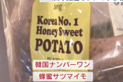 韓国人「韓国が無断で盗んだ日本のサツマイモ」