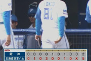 【日本ハム対阪神オープン戦】日本ハムが阪神に勝利しOP戦今季初白星！先発・達4回1安打6K零封 4番・西川復帰1号 カストロ先制打&来日1号場外2ラン3打点