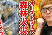 【朗報】ヒカキンさん、オーストラリアの火災に心を痛め、コアラのマーチを大量購入