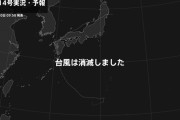 今回の台風14号、競走馬に例えると何レベルだったん？